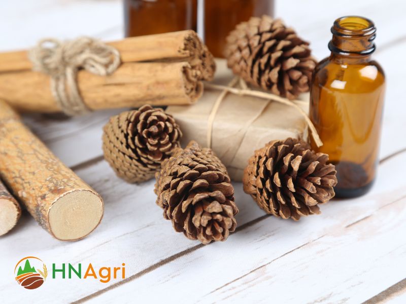 delving-into-the-versatility-and-benefits-of-cinnamon-oil-3