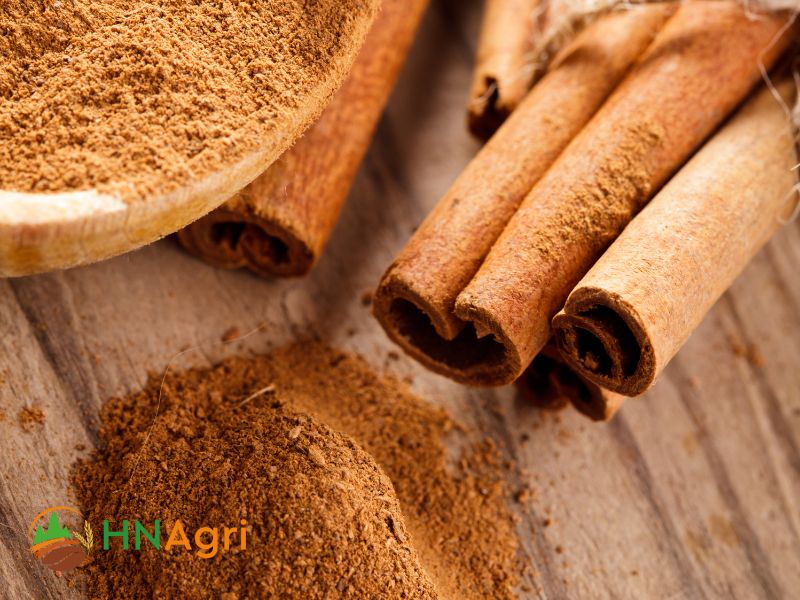 hn-cinnamon-exporter-the-leading-in-exporting-cassia-cinnamon-2