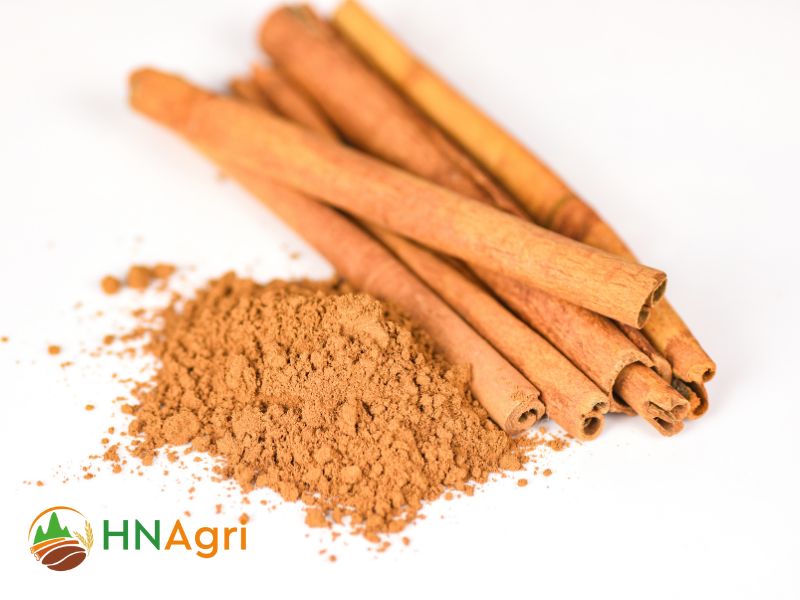 the-finest-wholesale-vietnamese-cinnamon-you-need-to-know-2