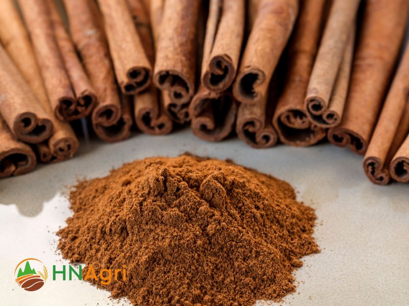 vietnamese-cassia-cinnamon-a-must-have-spice-for-wholesale-distribution-1