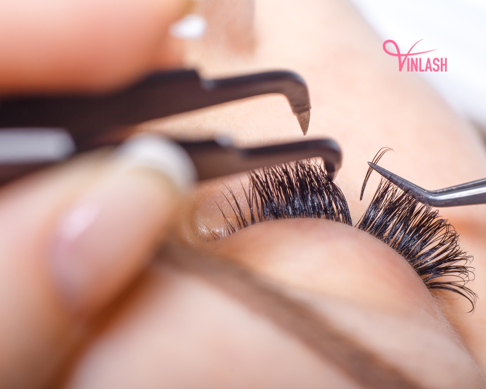 reasons-why-you-should-work-with-vin-lash-extension-manufacturer-1