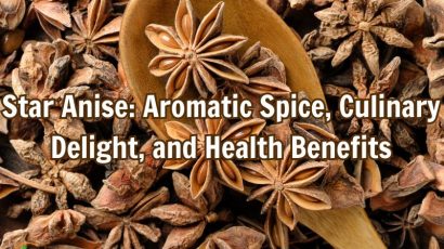 star-anise-aromatic-spice-culinary-delight-and-health-benefits